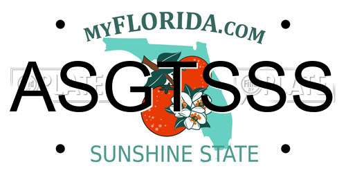 ASGTSSS Florida License Plate