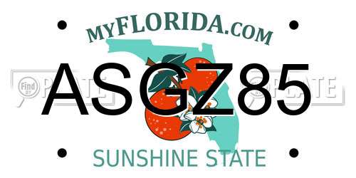 ASGZ85 Florida License Plate