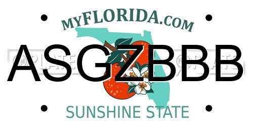 ASGZBBB Florida License Plate