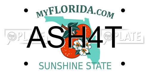 ASH4T Florida License Plate