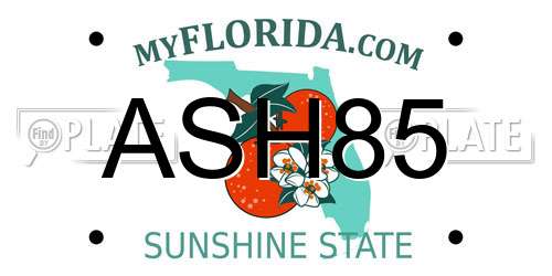 ASH85 Florida License Plate