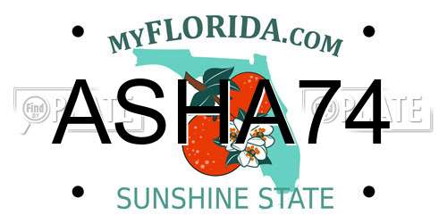 ASHA74 Florida License Plate