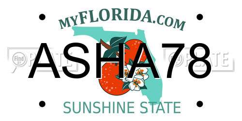 ASHA78 Florida License Plate