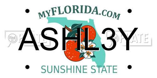 ASHL3Y Florida License Plate