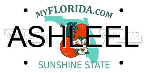 ASHLEEL Florida License Plate