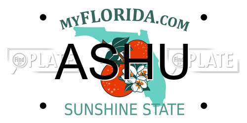 ASHU Florida License Plate