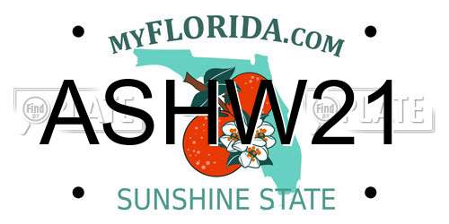ASHW21 Florida License Plate