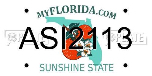 ASI2113 Florida License Plate