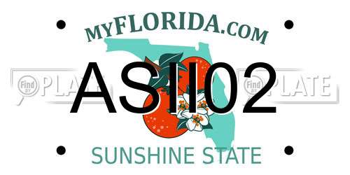 ASII02 Florida License Plate