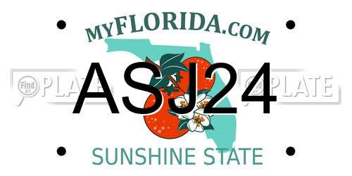 ASJ24 Florida License Plate