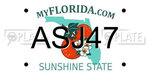 ASJ47 Florida License Plate