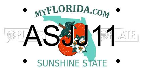 ASJJ11 Florida License Plate