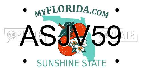 ASJV59 Florida License Plate