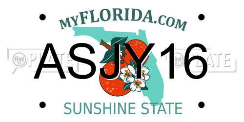 ASJY16 Florida License Plate