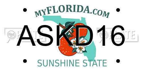 ASKD16 Florida License Plate