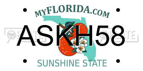 ASKH58 Florida License Plate