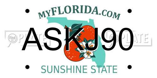 ASKJ90 Florida License Plate