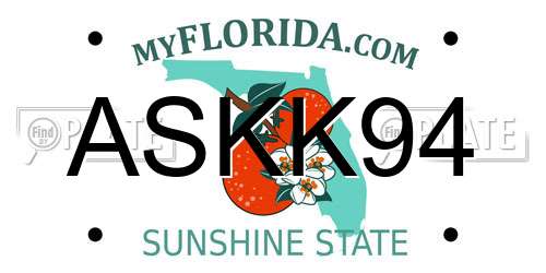 ASKK94 Florida License Plate