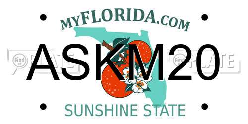 ASKM20 Florida License Plate