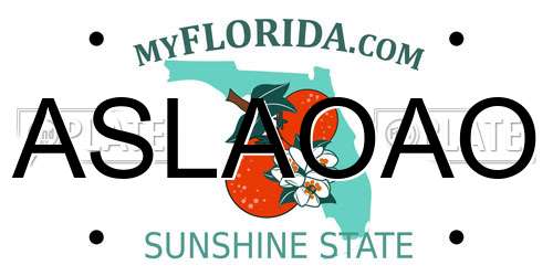 ASLAOAO Florida License Plate