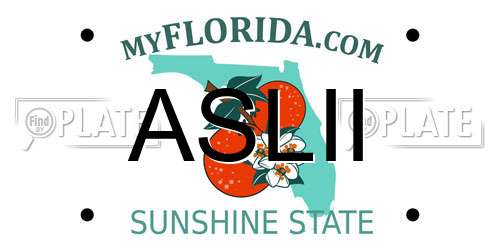 ASLII Florida License Plate