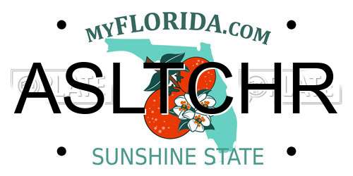 ASLTCHR Florida License Plate