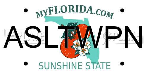 ASLTWPN Florida License Plate
