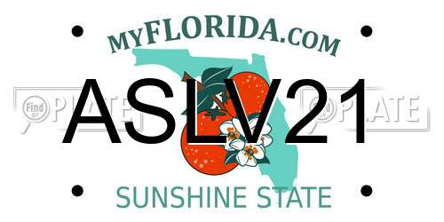 ASLV21 Florida License Plate