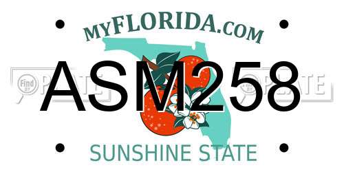 ASM258 Florida License Plate