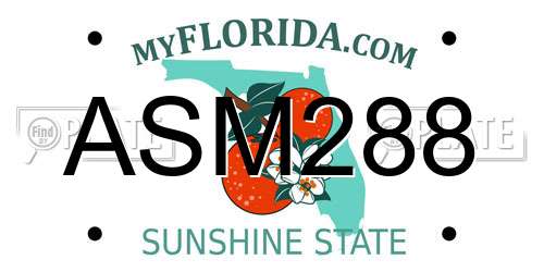 ASM288 Florida License Plate