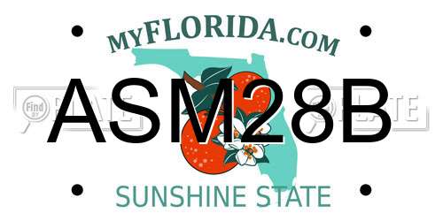 ASM28B Florida License Plate
