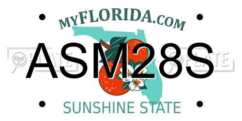 ASM28S Florida License Plate