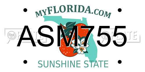 ASM755 Florida License Plate
