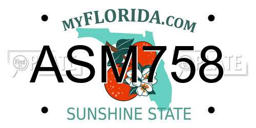 ASM758 Florida License Plate