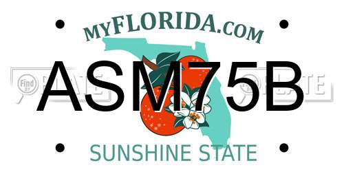 ASM75B Florida License Plate