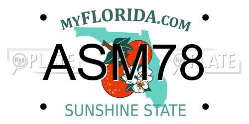ASM78 Florida License Plate