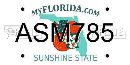 ASM785 Florida License Plate