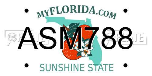 ASM788 Florida License Plate