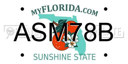 ASM78B Florida License Plate