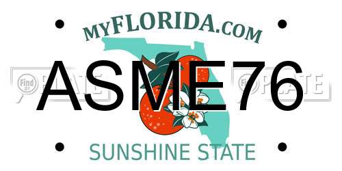 ASME76 Florida License Plate