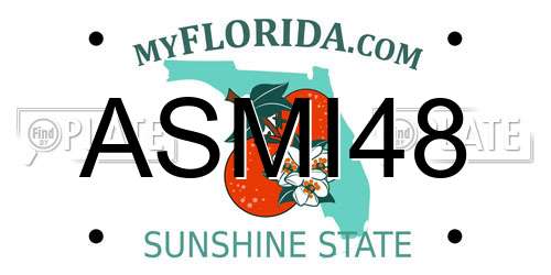 ASMI48 Florida License Plate