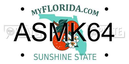 ASMK64 Florida License Plate