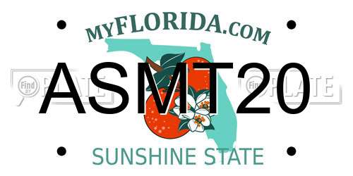 ASMT20 Florida License Plate