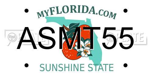 ASMT55 Florida License Plate