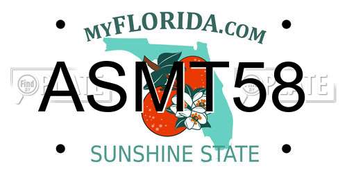 ASMT58 Florida License Plate