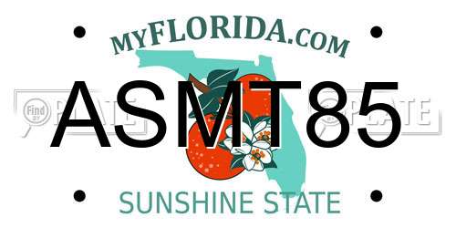 ASMT85 Florida License Plate