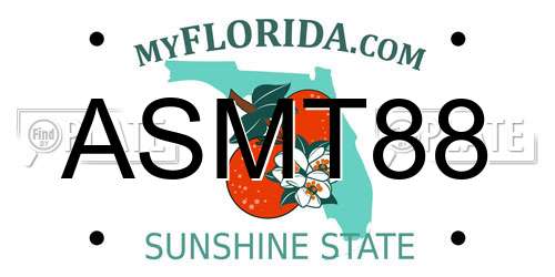 ASMT88 Florida License Plate