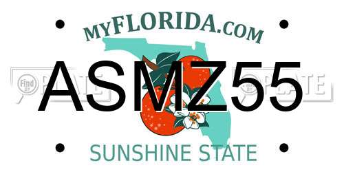 ASMZ55 Florida License Plate