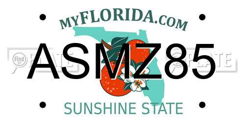 ASMZ85 Florida License Plate