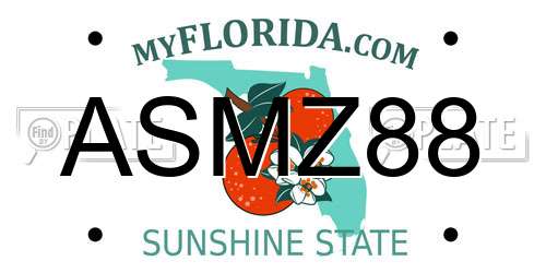 ASMZ88 Florida License Plate